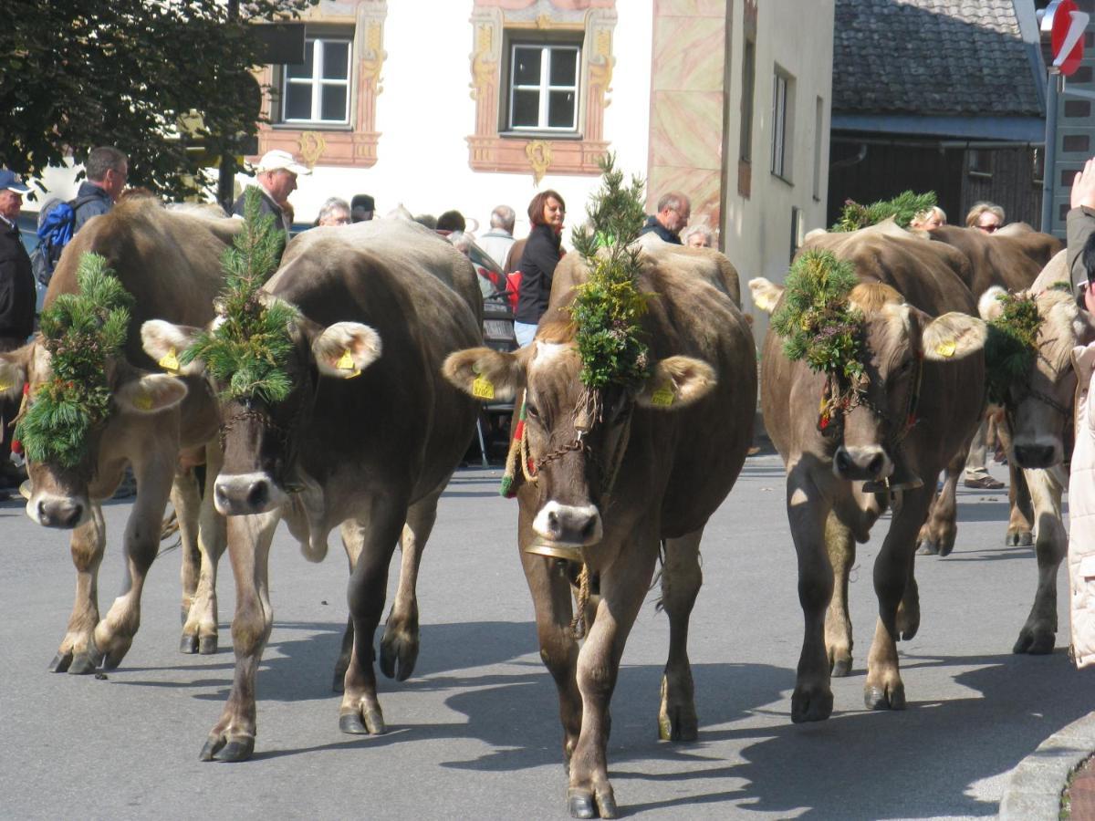 Pension Grubenhof Fulpmes Buitenkant foto